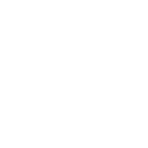 Ford logo