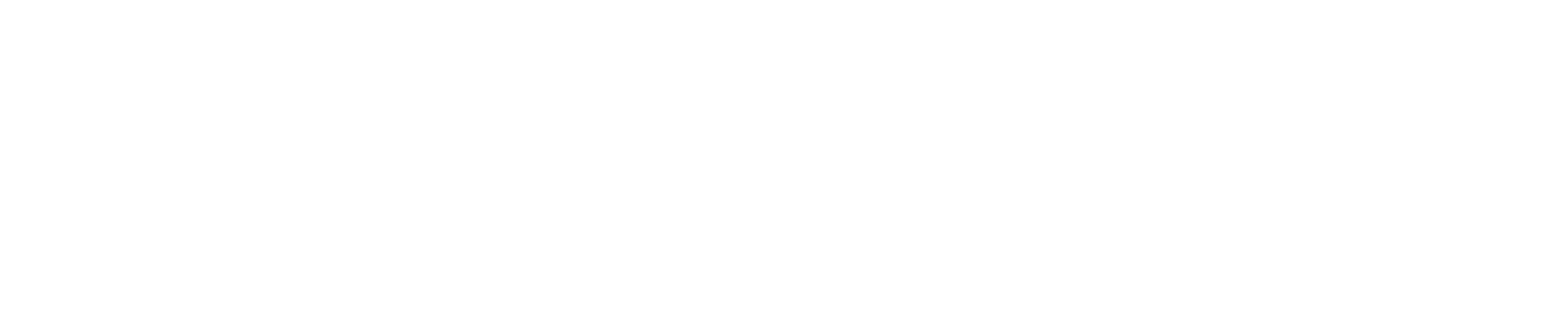 Triton Authorized Dealer