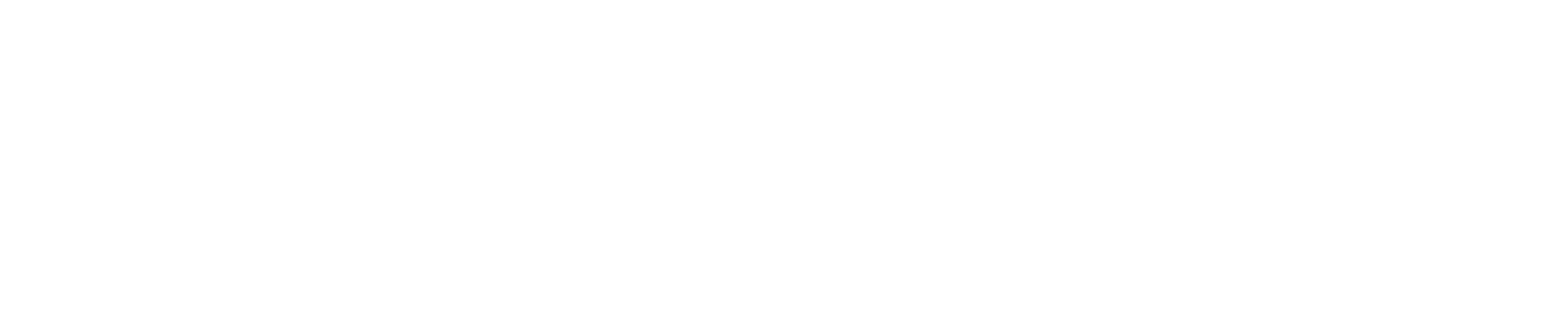 Triton Authorized Dealer